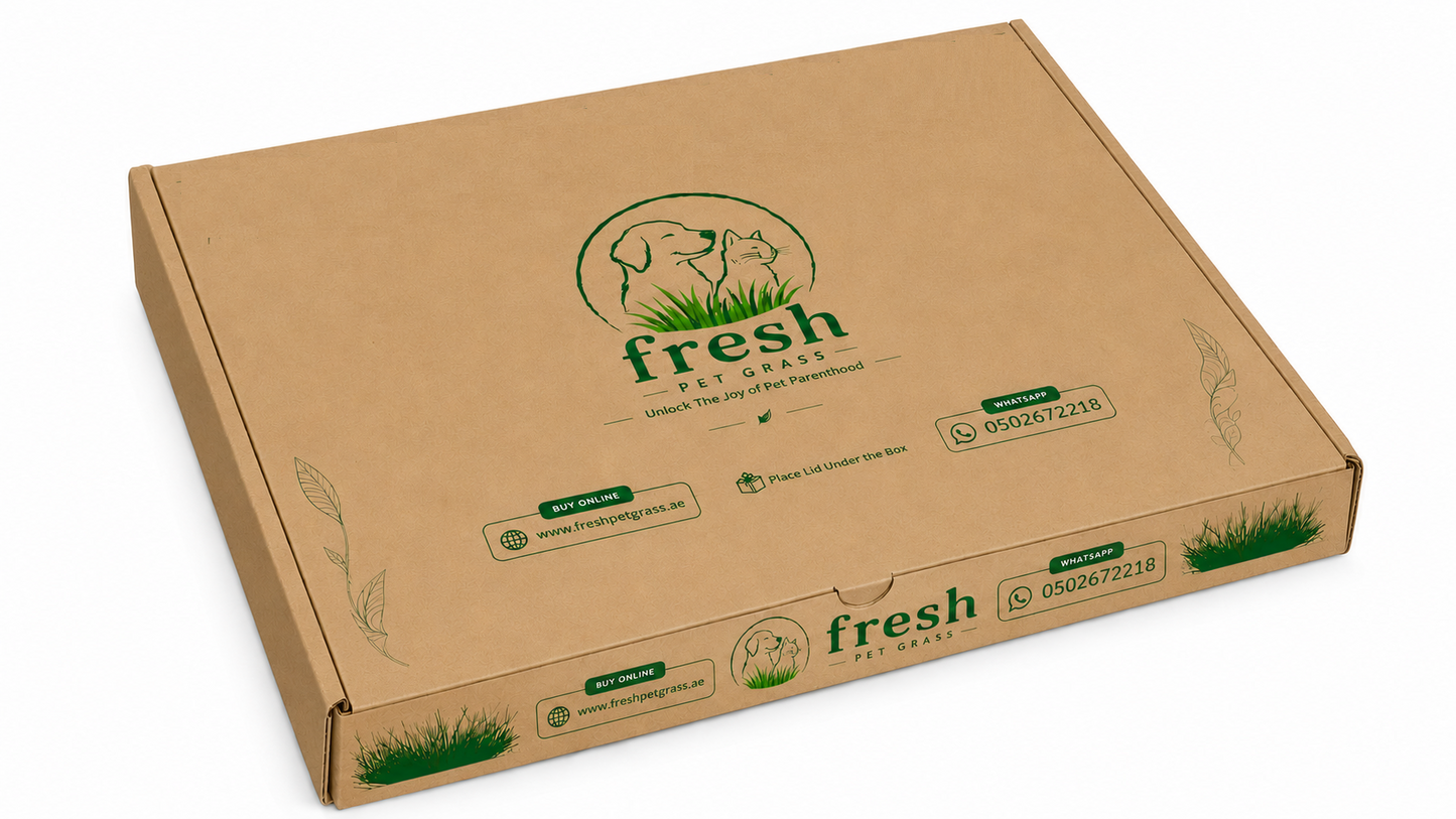 Fresh Pet Grass - Dog Potty Grass