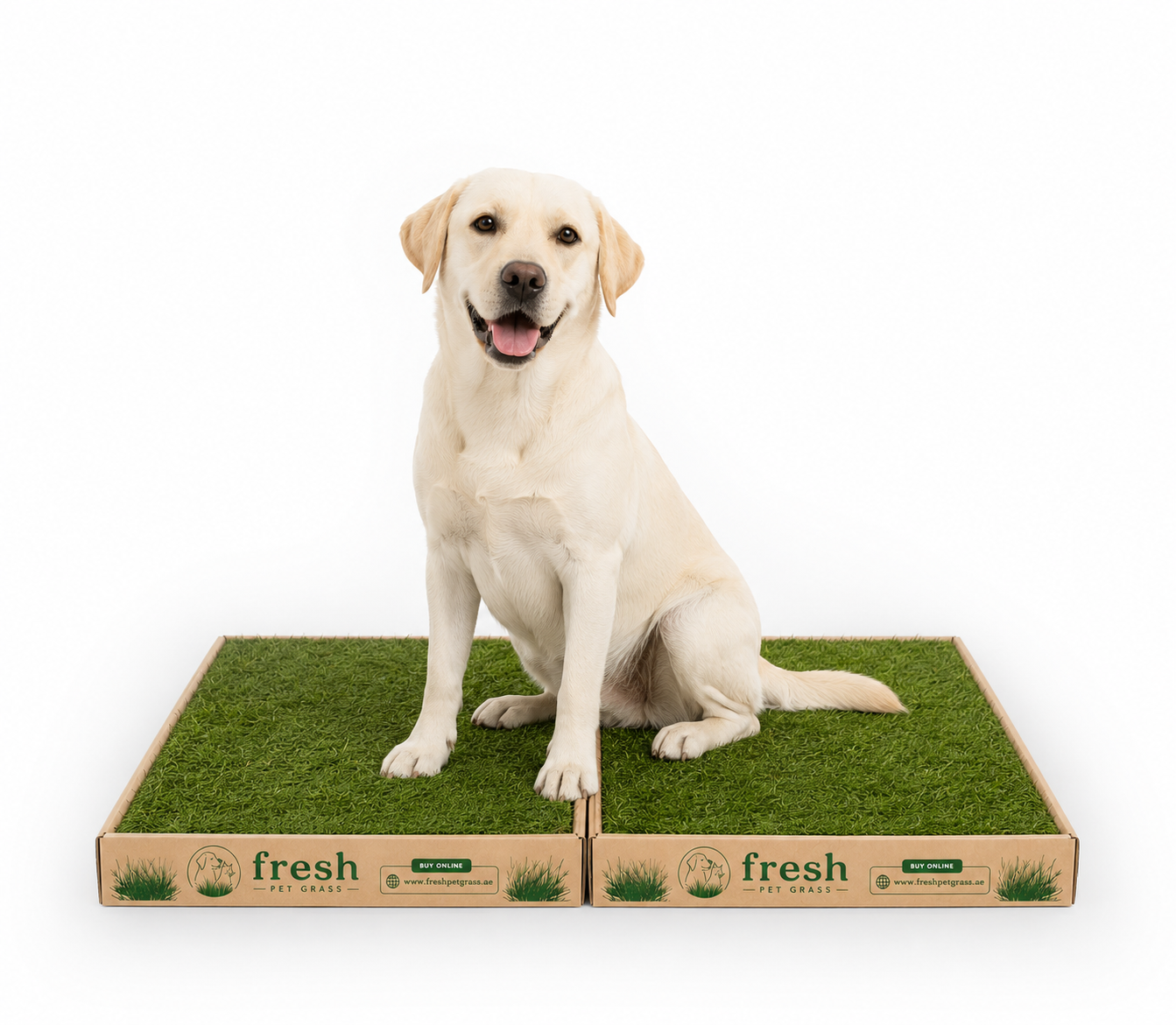 Fresh Pet Grass - Dog Potty Grass