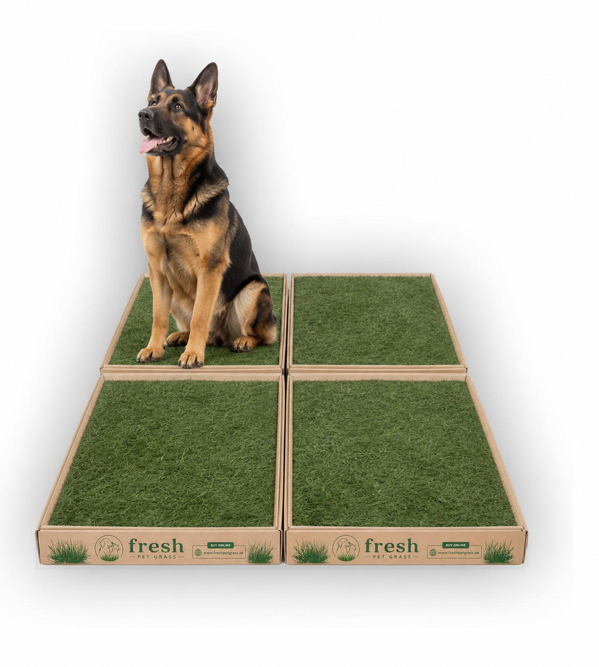 Fresh Pet Grass - Dog Potty Grass