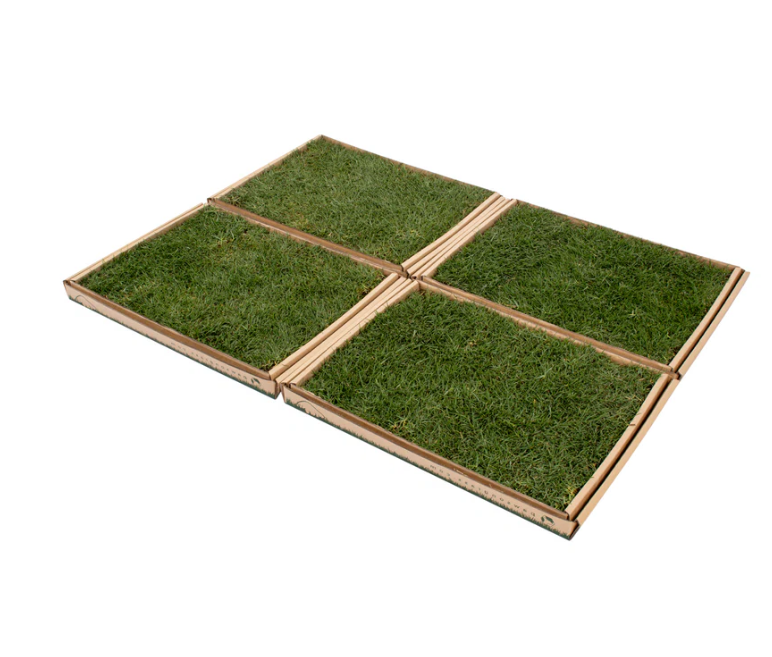 Fresh Pet Grass - Dog Potty Grass