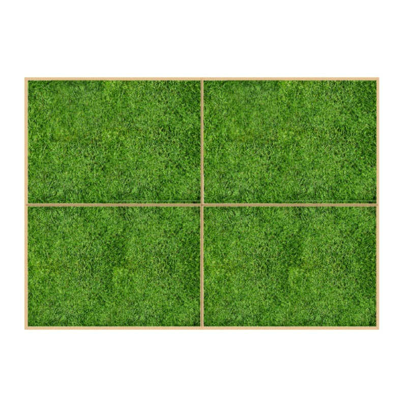 Fresh Pet Grass - Dog Potty Grass