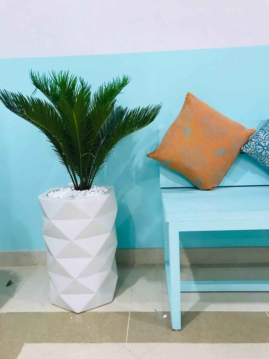 Sago Palm in Ceramic Pot - 1m Cycas Palm in Large Ceramic Planter